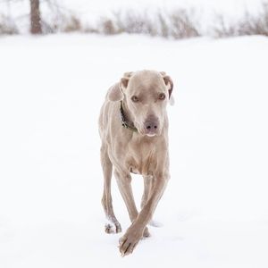 Meet your Posher, Jonie